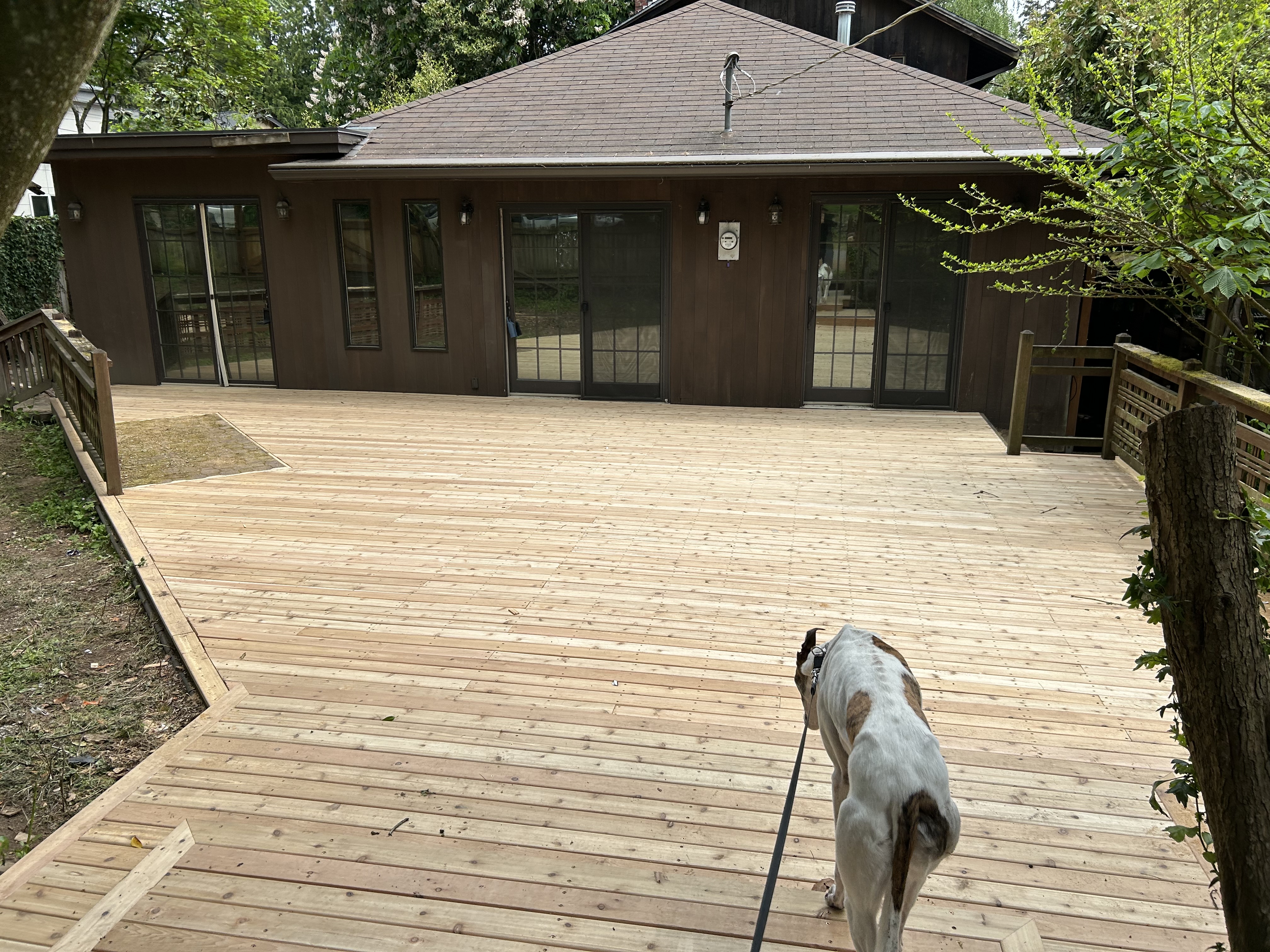 Deck Building