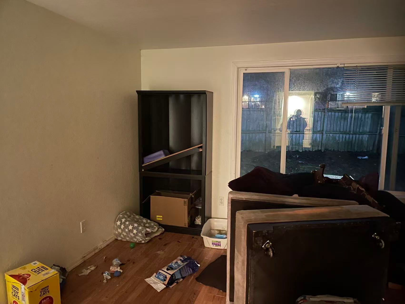 Junk Removal